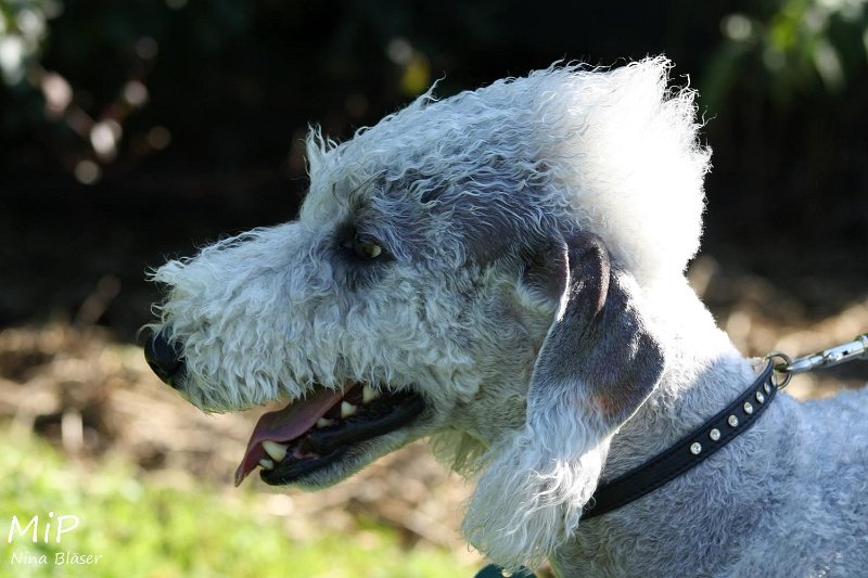 2010-10-03 Coursing-Training GE (7).jpg